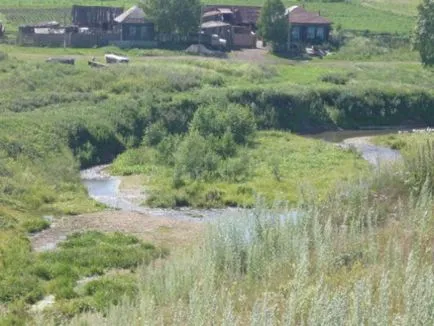 Вечният повикване като изстрел