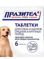 куче Начало