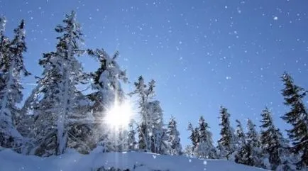 Изтегляне DreamScene За Windows 7 на руски безплатно