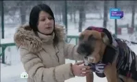 Джулия Висоцки студио НТВ () гледате онлайн