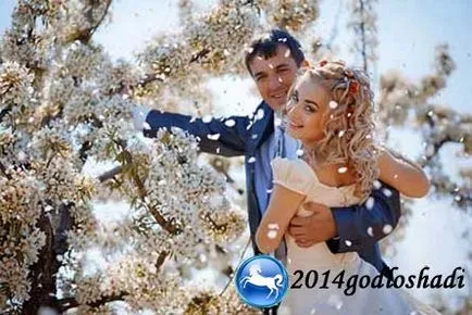 Сватба през февруари 2017 г.