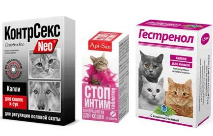 Разгонване при котките описание на процеса, симптомите са много трае