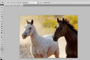 Уроци по Photoshop Основите, примери, работилници