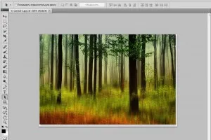 Уроци по Photoshop Основите, примери, работилници