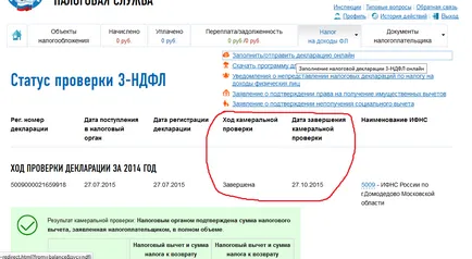 Научете се проверява 3-PIT декларация или не, прости данъци