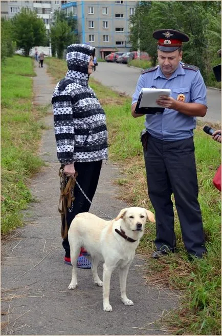 Dog ходене, куче ходене и правилата на отговорност за едно куче