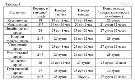 Определяне на пилета в инкубатор в домашно видео околната среда