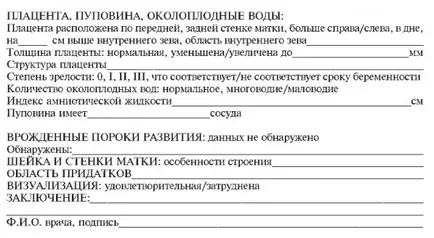 Вторият ултразвук по време на бременност, които се стремят да термини