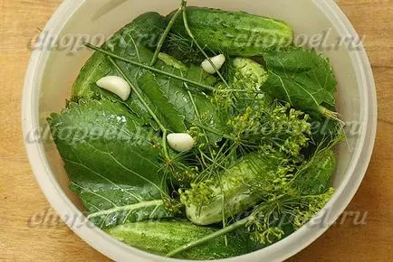 Сол краставици сол