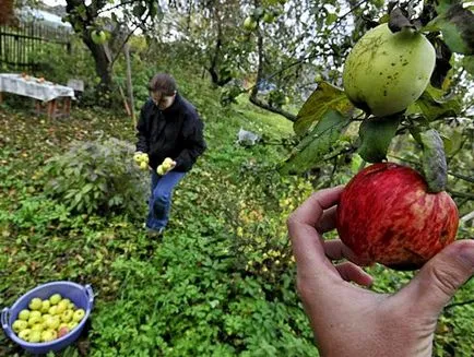 Как да продадем апартамента, след развода