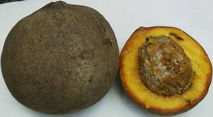 Плодове като ябълки