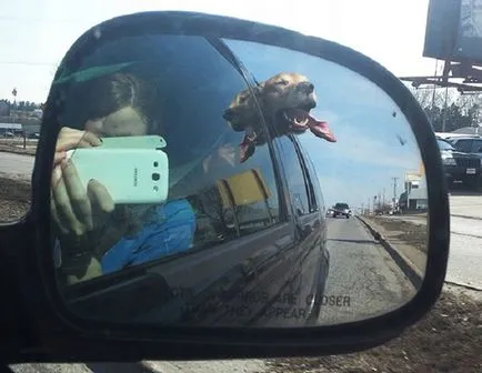 Кучето на вятъра Кучето на вятъра