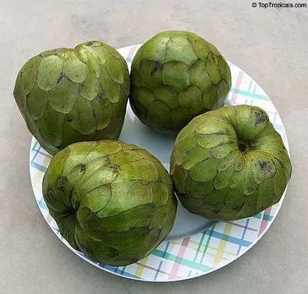 Плодове като ябълки