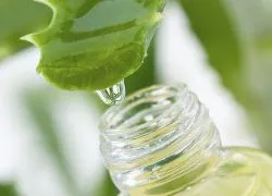Това, което прави Aloe
