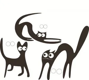 Кот апликация