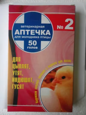 антибиотични пилета
