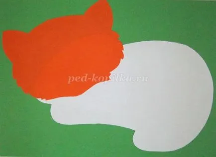 Кот апликация