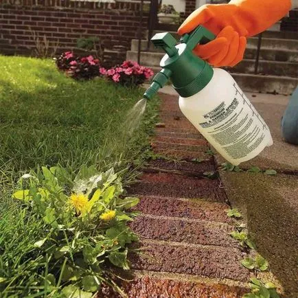 Какво е agrokiller