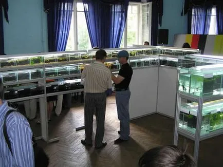 Как да се размножават риба