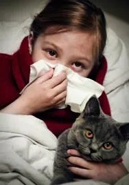Които лекуват котки