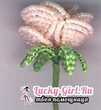 Как да си направим мъниста схема