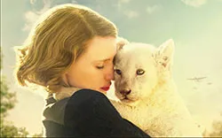 Какво е Viasat