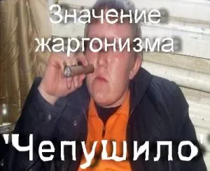 Какво е chepushil Какво е chepushil