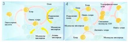 Поради това, озоновата дупка