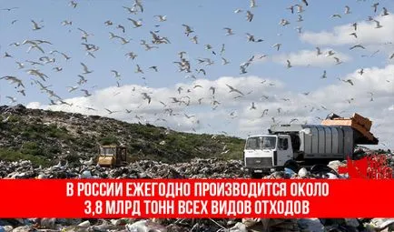 Изхвърлете я Изхвърлете я