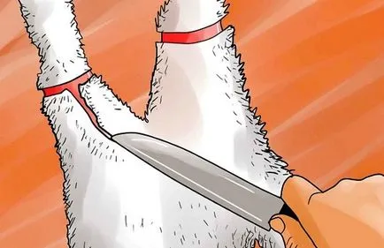 Дресинг заешки кожи у дома