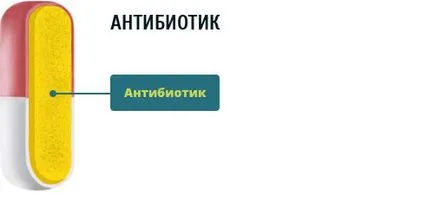 Какво е ekoantibiotiki