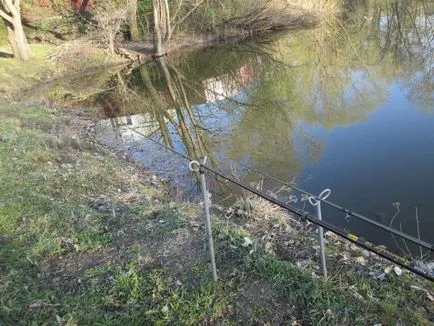 Какво е това магаре Какво е това магаре