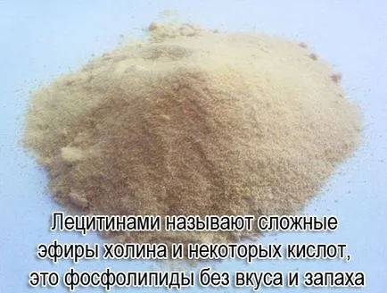 Емулгатор соев лецитин какво е