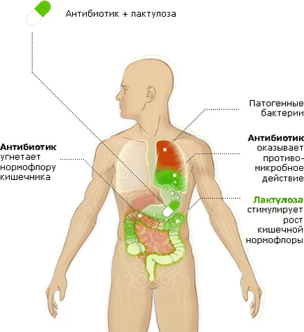 Какво е ekoantibiotiki