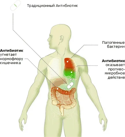 Какво е ekoantibiotiki