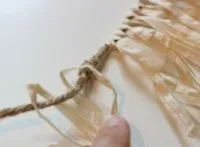 Какво Хавайският пола