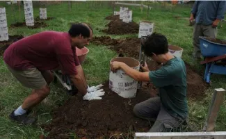 В основата на собствените си ръце под беседката В основата на собствените си ръце под беседката