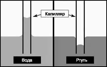 Защо водата се покачва