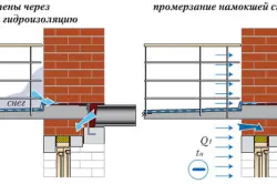 Как гъбички