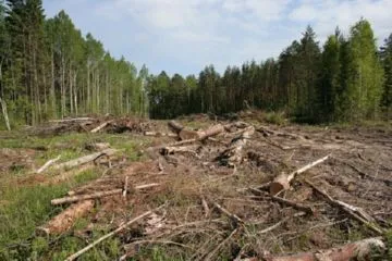 Какво е състоянието на околната среда