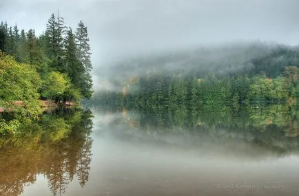 Вижте какво да фотограф