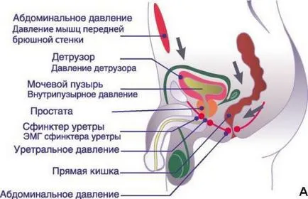 Какво е спешността