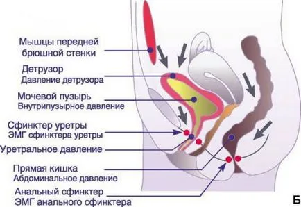 Какво е спешността