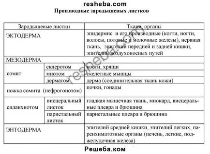 Какво е на биологичното развитие