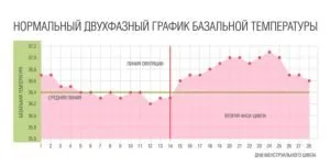 Можете да определите за бременност