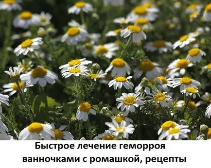 Вани с лайка как се прави