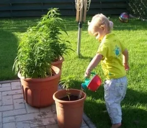 Какво се случва с наркомани