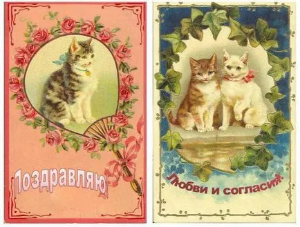 Кот апликация