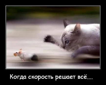 Как да се измери скоростта