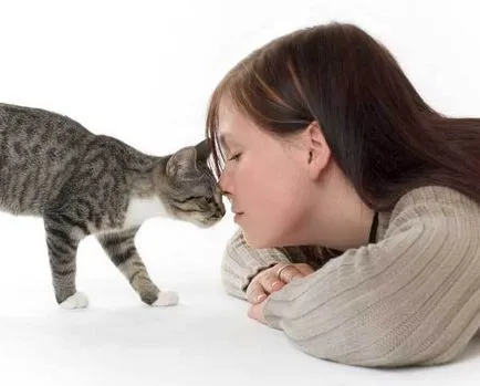 Които лекуват котки
